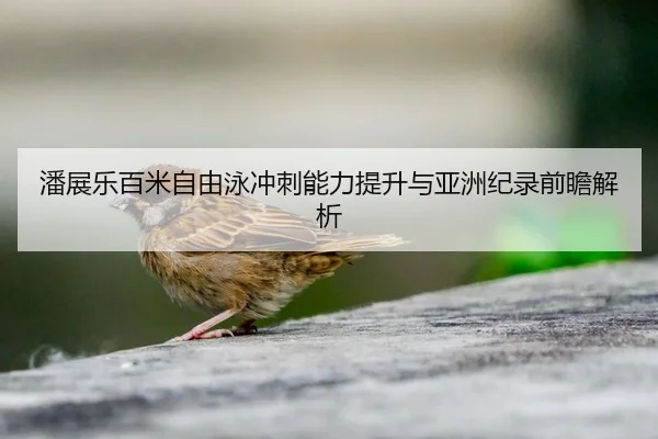 潘展乐百米自由泳冲刺能力提升与亚洲纪录前瞻解析